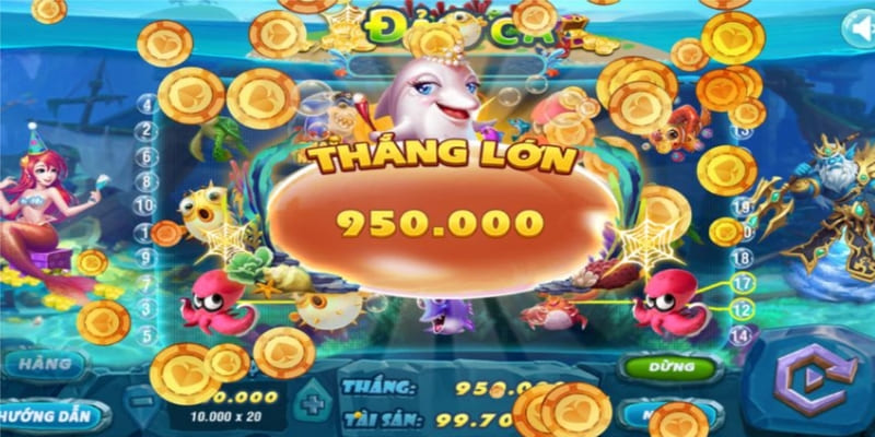 Các dân cược có thể nhận phần thưởng và ưu đãi